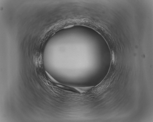 X0000075831492200609221626