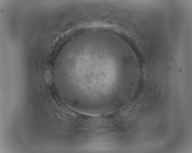 X0000075831493200609221626