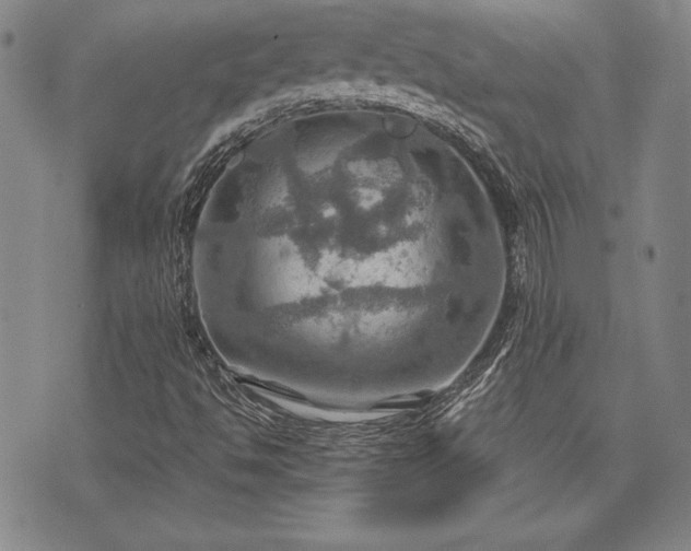 X0000075831494200609221626