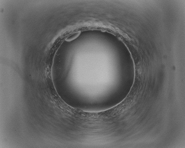 X0000075831495200609221627