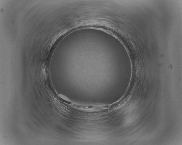 X0000075831497200609221627