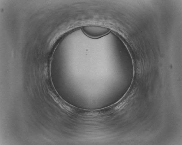 X0000075831499200609221627