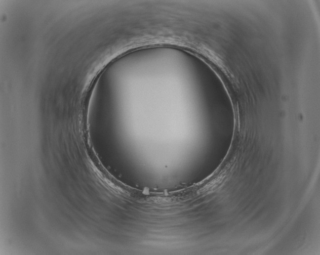 X0000075831500200609221627