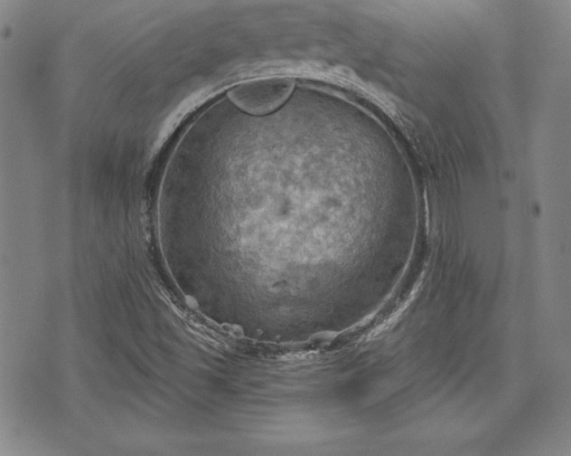 X0000075831501200609221627