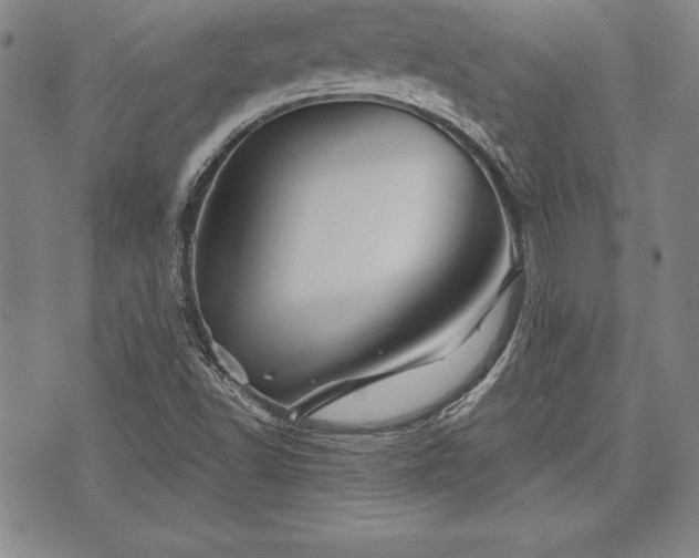 X0000075831502200609221627