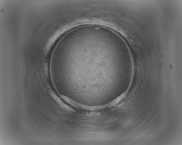 X0000075831503200609221627