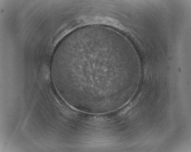 X0000075831505200609221627