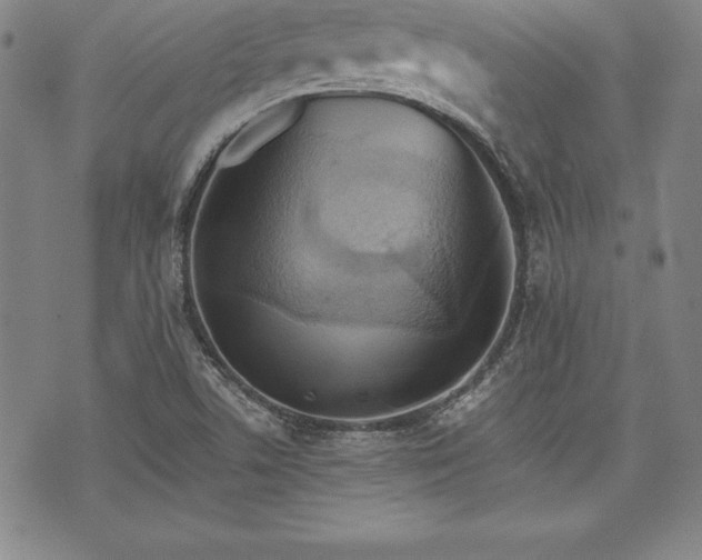 X0000075831506200609221627