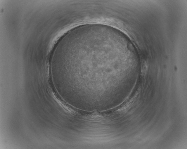 X0000075831507200609221627