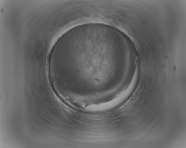 X0000075831508200609221627