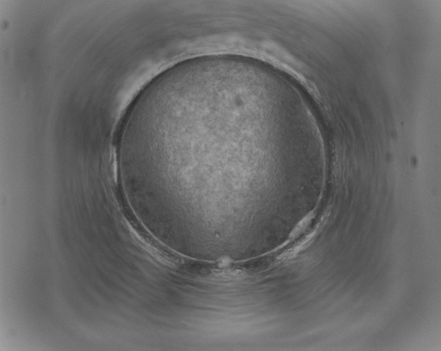 X0000075831509200609221627