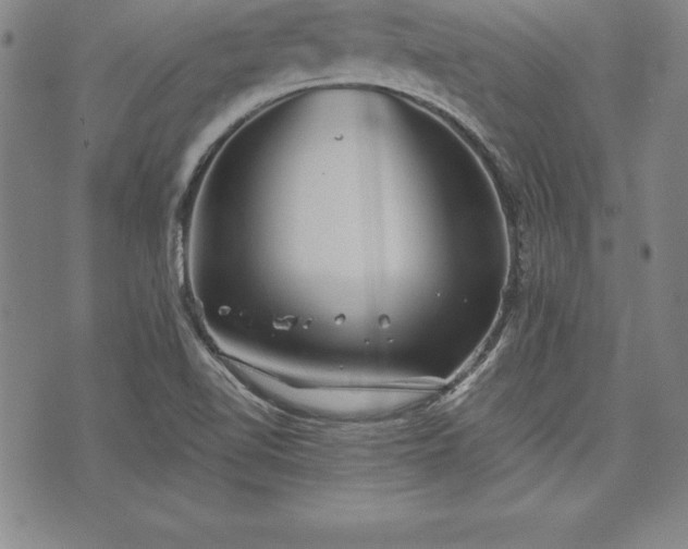 X0000075831510200609221627