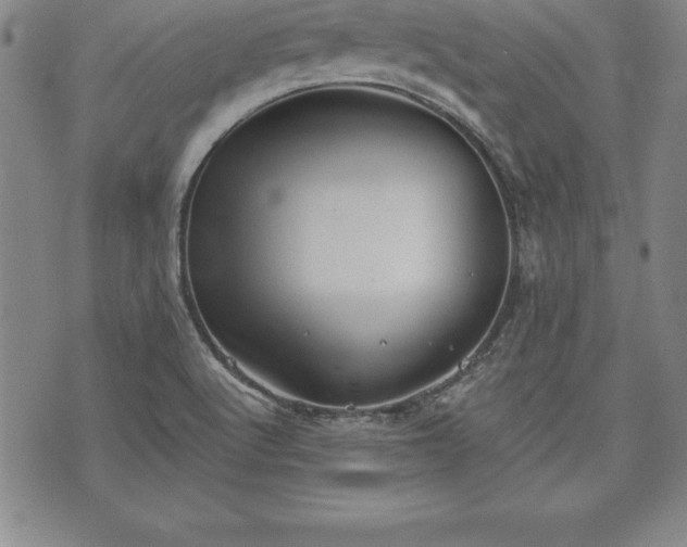 X0000075831512200609221627