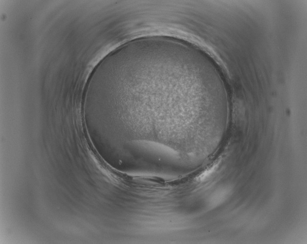 X0000075831513200609221627