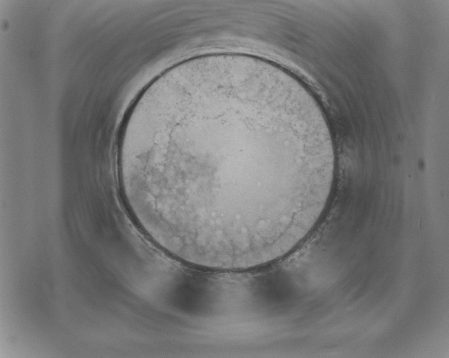 X0000075831514200609221627