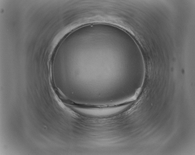 X0000075831515200609221627