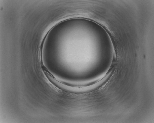 X0000075831516200609221627