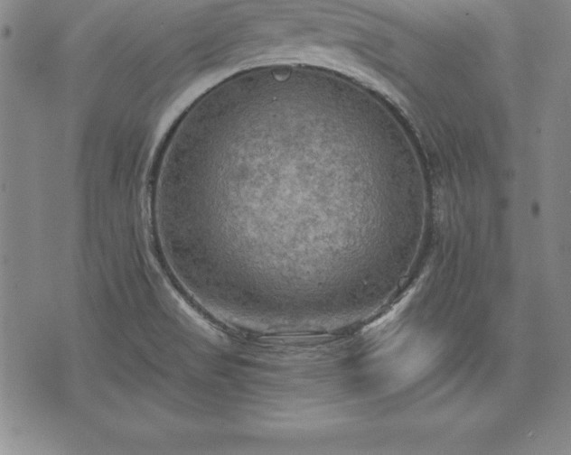 X0000075831517200609221627