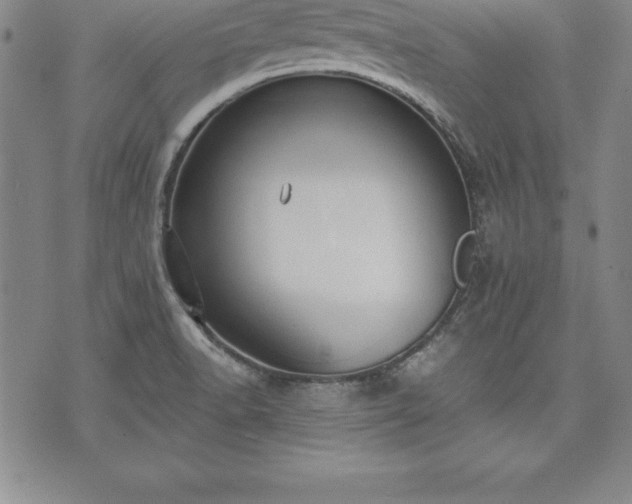 X0000075831518200609221627