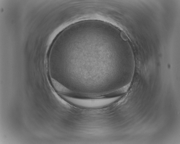 X0000075831519200609221627