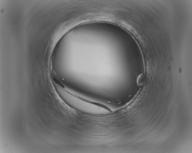 X0000075831520200609221627