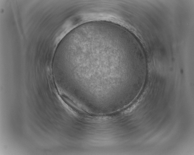 X0000075831521200609221627