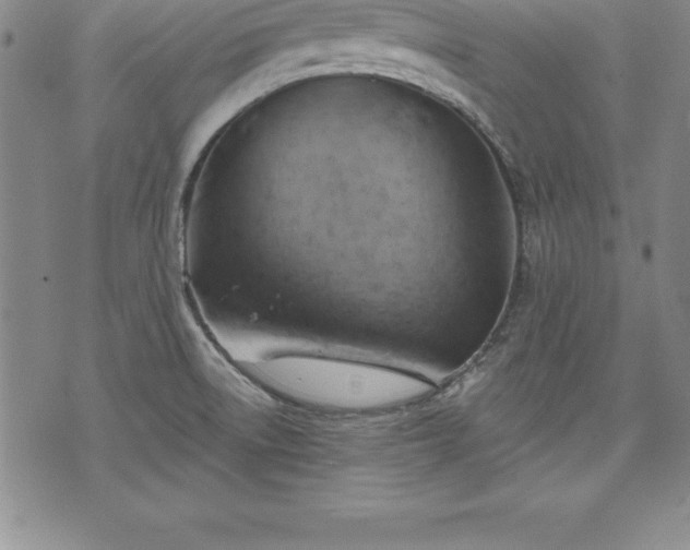 X0000075831522200609221627