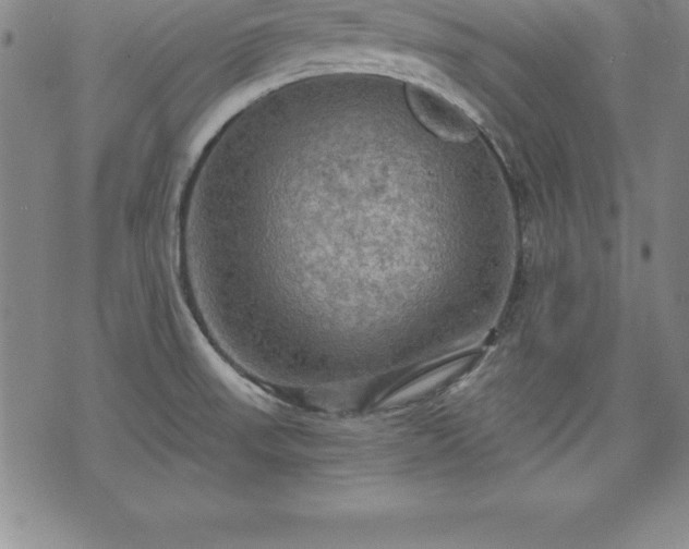 X0000075831523200609221627