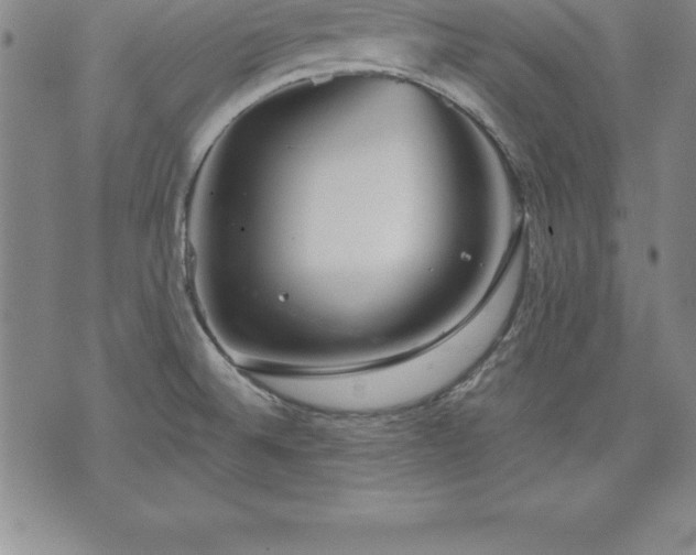 X0000075831524200609221627