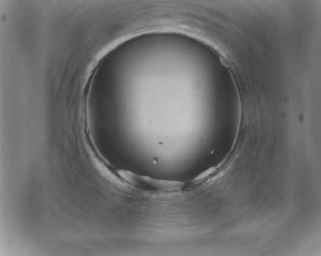 X0000075831526200609221627