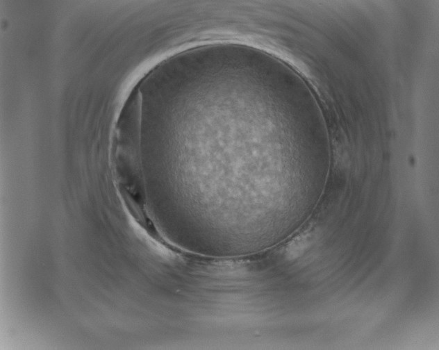 X0000075831527200609221627