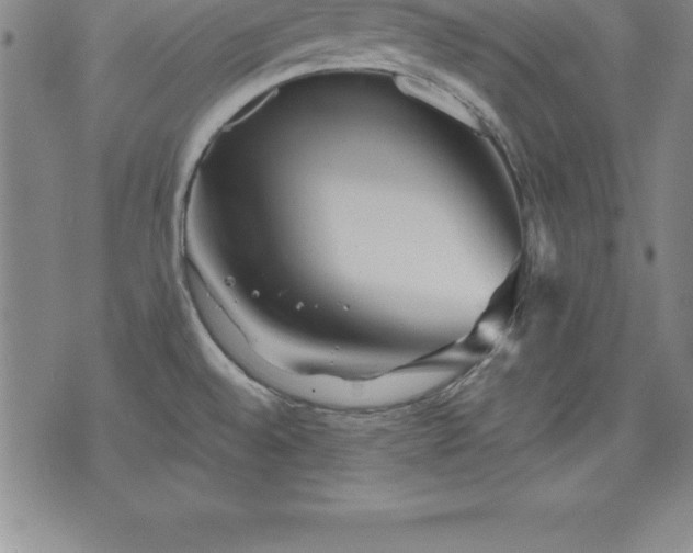 X0000075831528200609221627