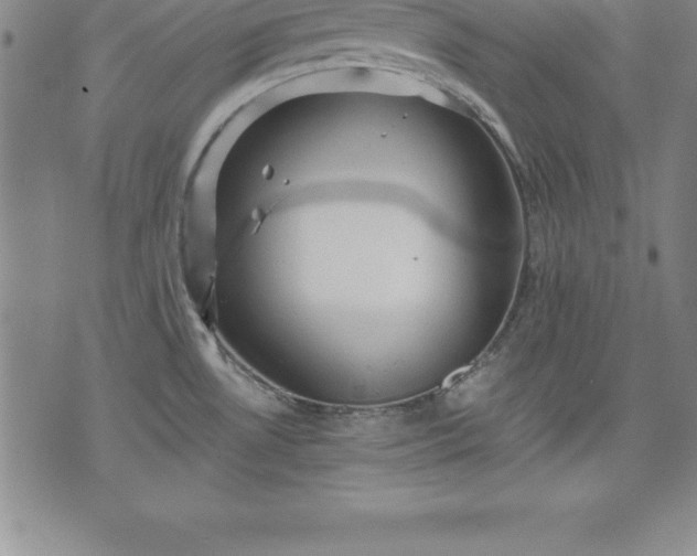 X0000075831530200609221627