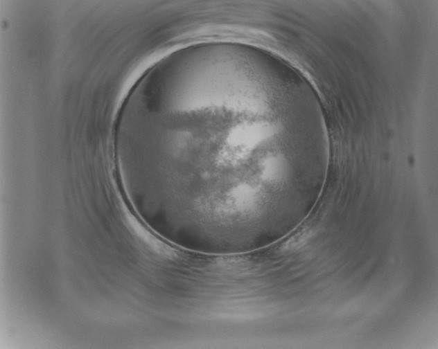 X0000075831531200609221627