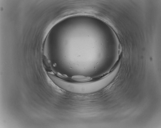 X0000075831532200609221627