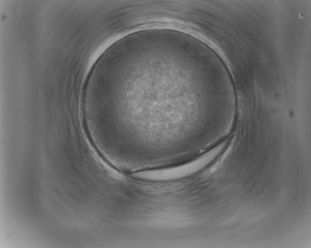 X0000075831533200609221627