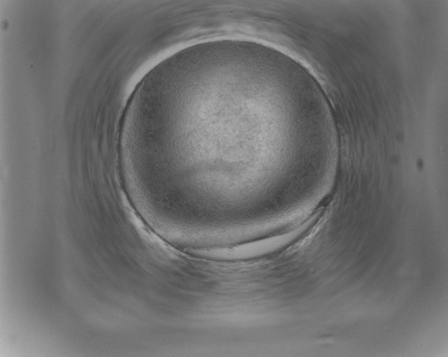 X0000075831534200609221627