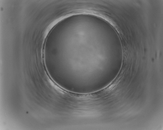 X0000075831535200609221627