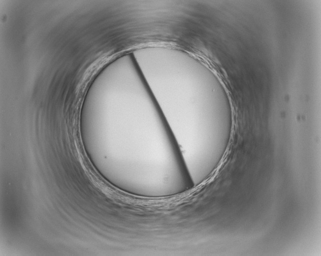 X0000075830001200609291434