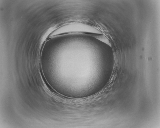 X0000075830003200609291434