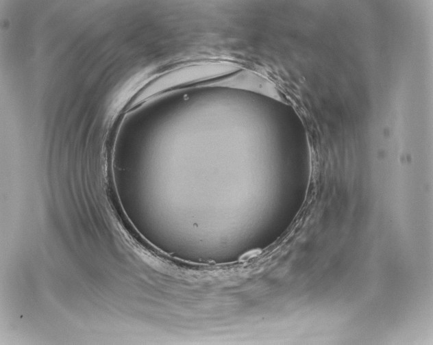 X0000075830005200609291434