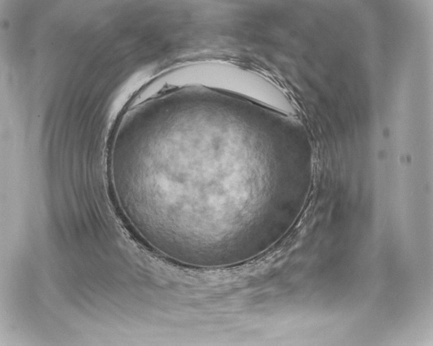 X0000075830006200609291433