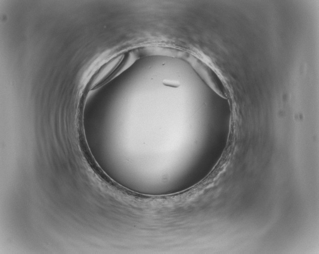 X0000075830007200609291433