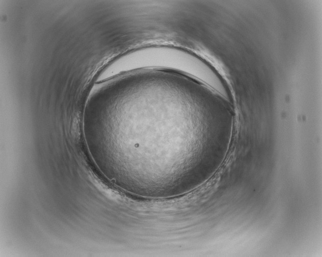 X0000075830009200609291433