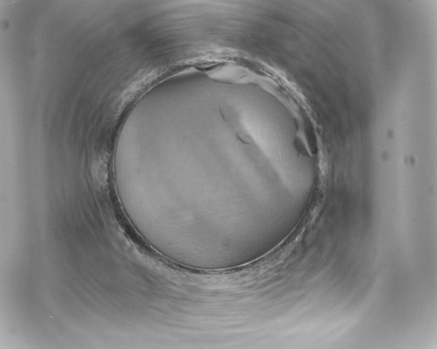 X0000075830010200609291433