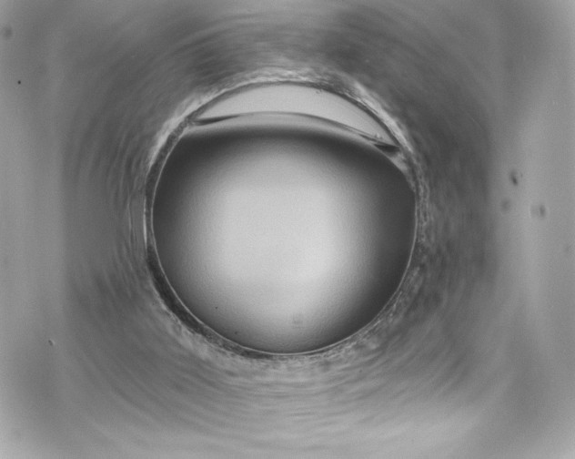 X0000075830011200609291433