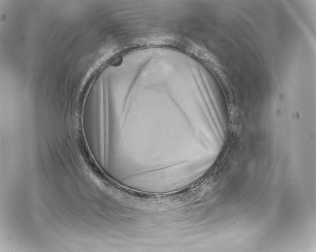 X0000075830012200609291433