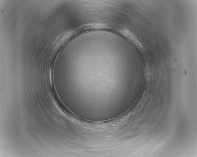 X0000075830014200609291433