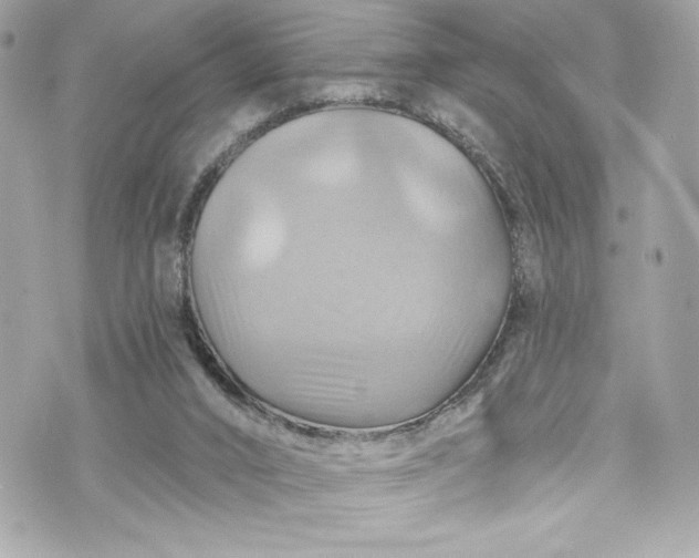 X0000075830016200609291433