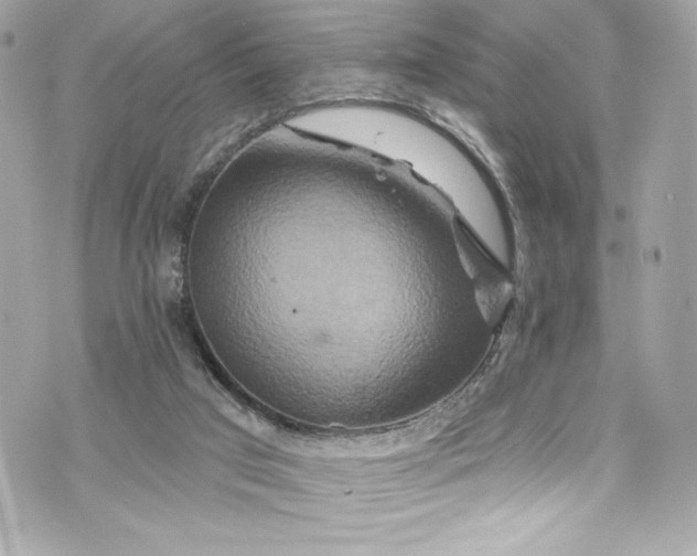 X0000075830017200609291433